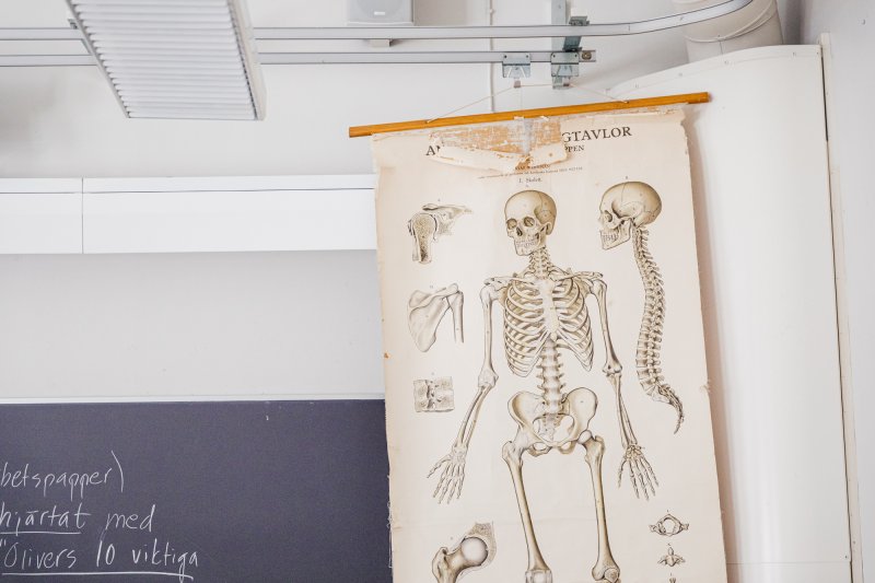 En skolplansch på ett skelett